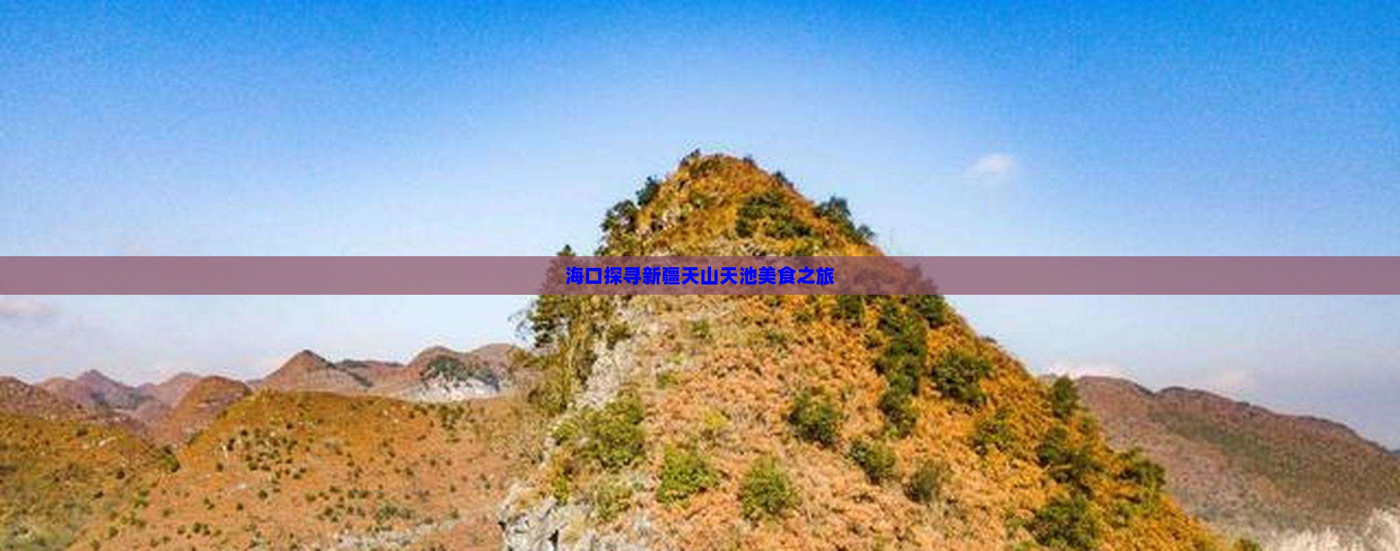 海口探寻新疆天山天池美食之旅