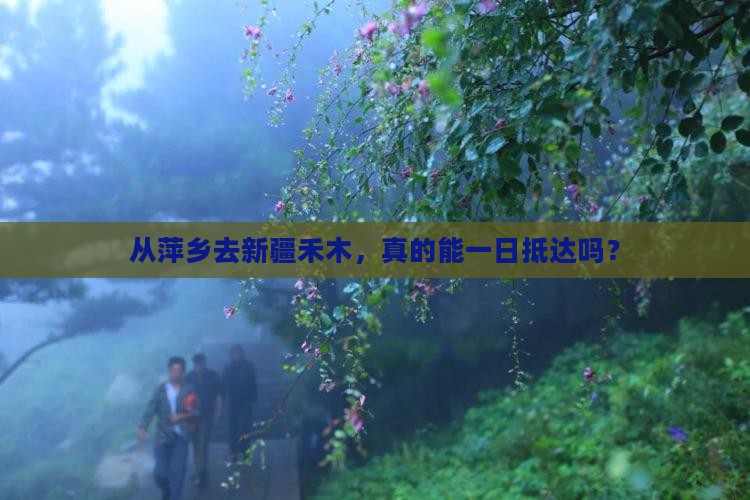 萍乡到新疆禾木一日
