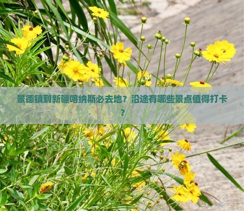 景德镇到新疆喀纳斯必去地