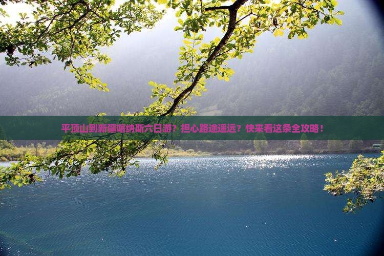 平顶山到新疆喀纳斯六日游