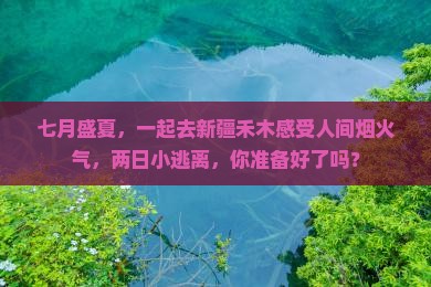 七月去新疆禾木二日游