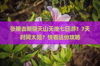 张掖去新疆天山天池七日游