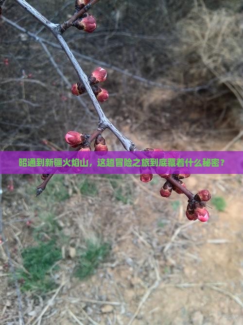 昭通去新疆火焰山景点