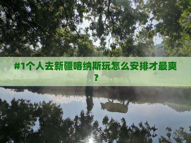 中秋节到新疆喀纳斯个人游