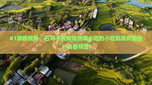 石河子去新疆旅游小吃