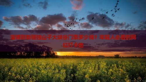 淄博到新疆独山子大峡谷门票