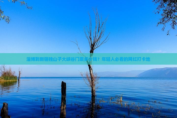 淄博到新疆独山子大峡谷门票