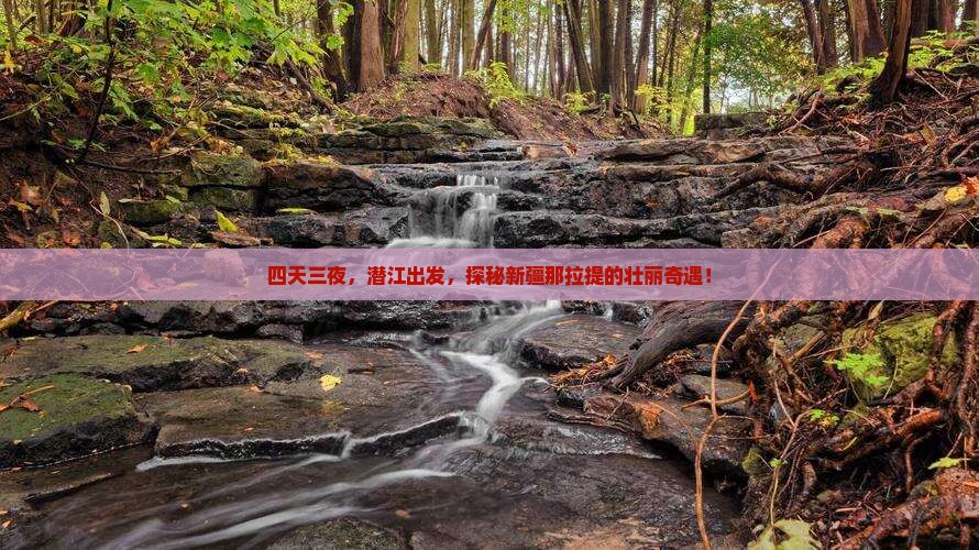 潜江去新疆那拉提四日游