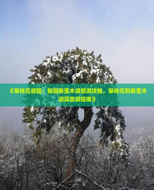 攀枝花去新疆赛里木湖景点