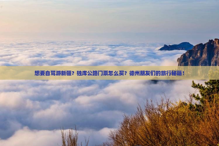 德州到新疆独库公路门票