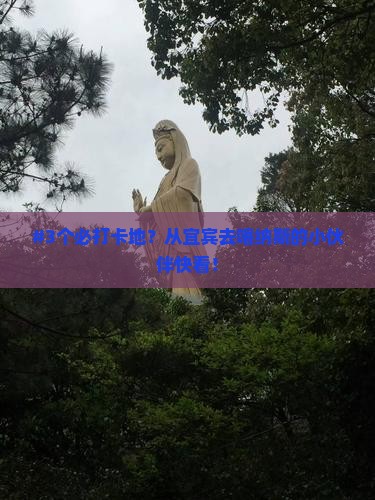 宜宾到新疆喀纳斯必去地 宜宾到新疆喀纳斯必去地