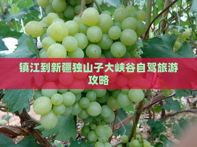 镇江去新疆独山子大峡谷攻略