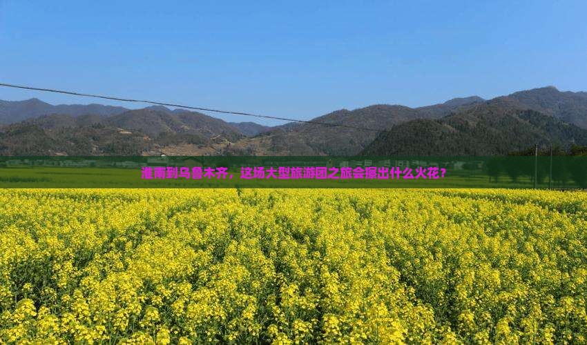 淮南去新疆乌鲁木齐大型旅游团