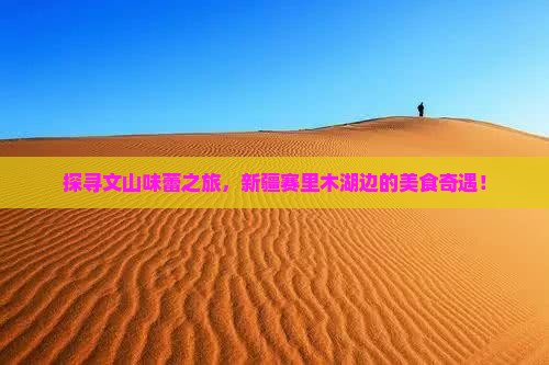 文山到新疆赛里木湖旅游小吃