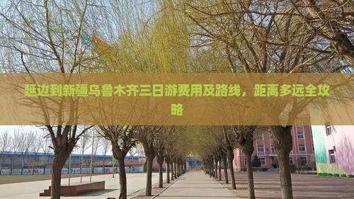 延边到新疆乌鲁木齐三日游