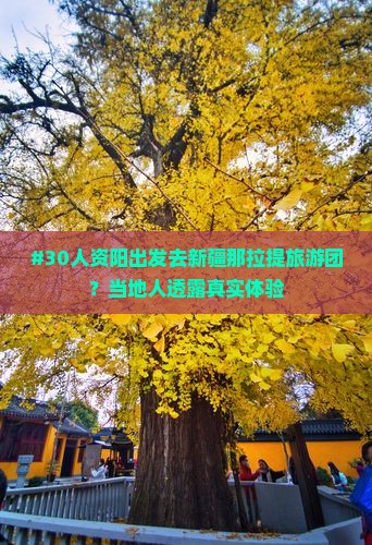 资阳去新疆那拉提大型旅游团