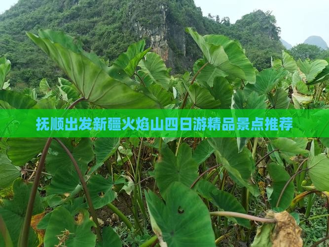 抚顺到新疆火焰山四日游