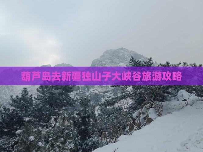 葫芦岛去新疆独山子大峡谷一日
