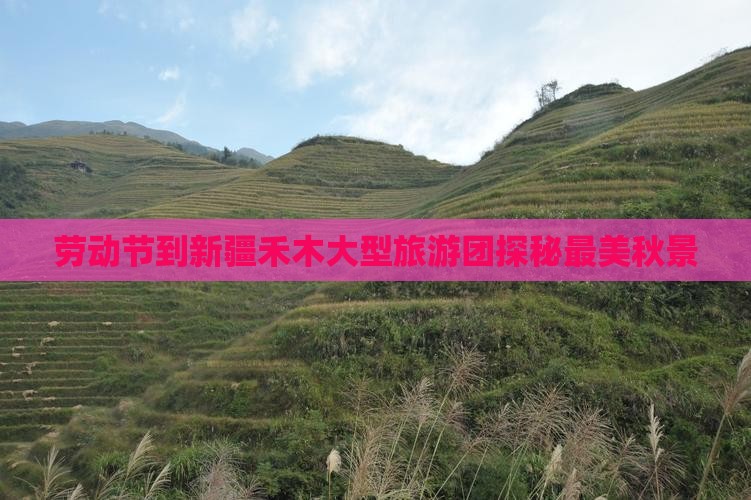 劳动节到新疆禾木大型旅游团