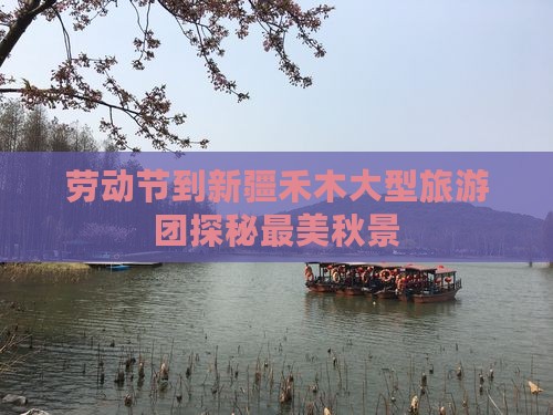 劳动节到新疆禾木大型旅游团