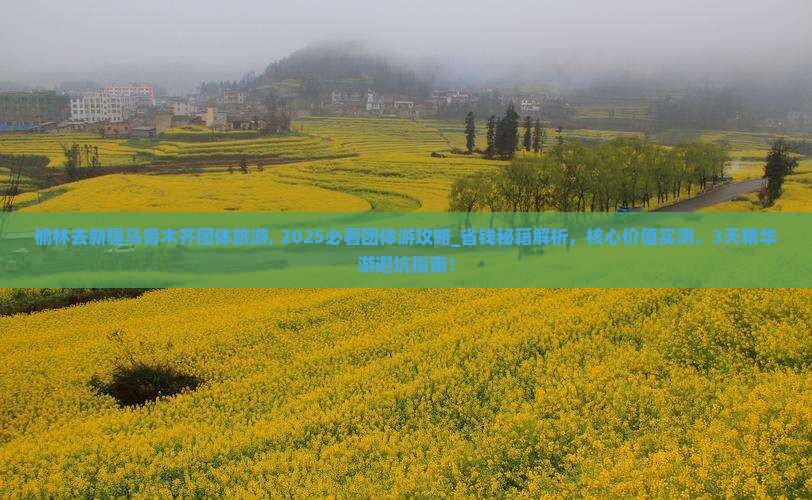 榆林去新疆乌鲁木齐团体旅游