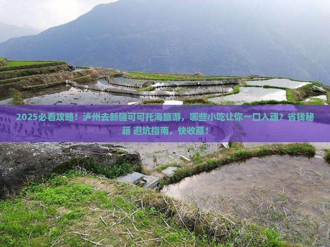 泸州去新疆可可托海旅游小吃
