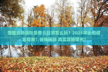 楚雄去新疆吐鲁番五日游