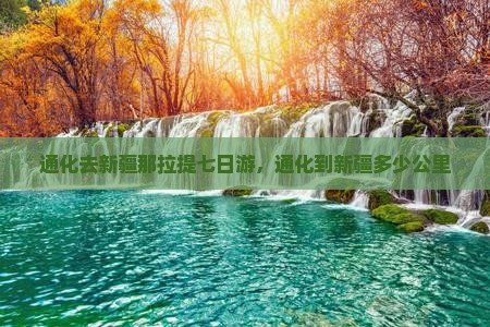 通化去新疆那拉提七日游