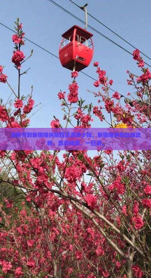 清明节到新疆喀纳斯四日游