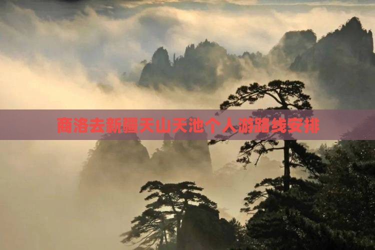商洛去新疆天山天池个人游