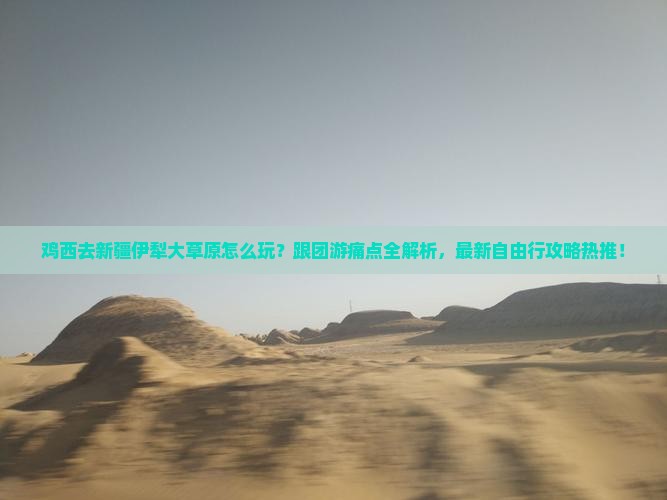 鸡西去新疆伊犁大草原旅行社