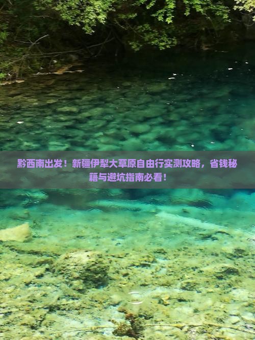 黔西南去新疆伊犁大草原自由行