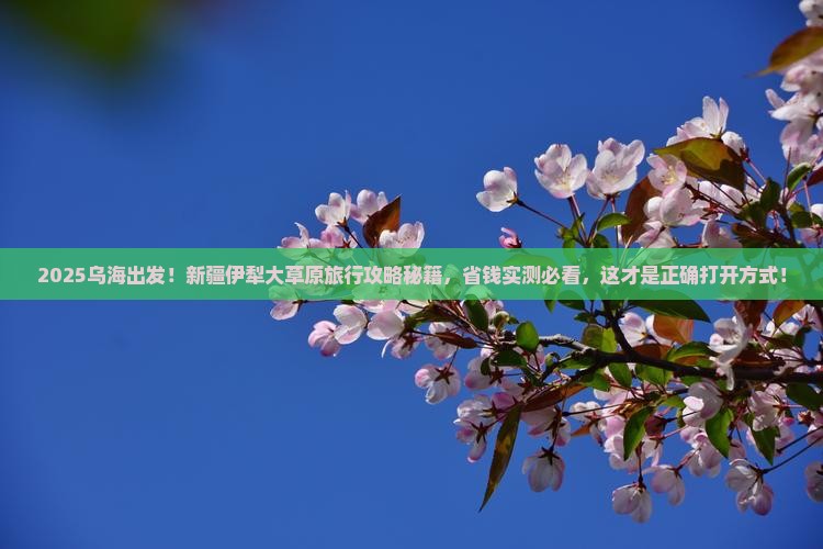 乌海去新疆伊犁大草原旅行社