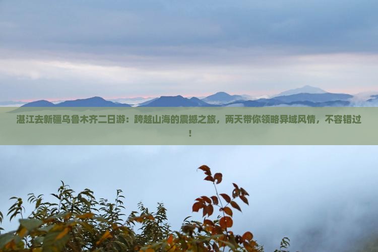 湛江去新疆乌鲁木齐二日游