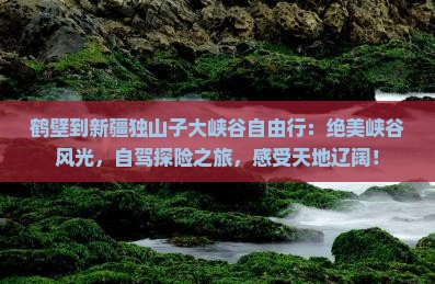 鹤壁到新疆独山子大峡谷自由行