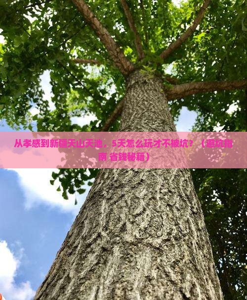孝感去新疆天山天池攻略