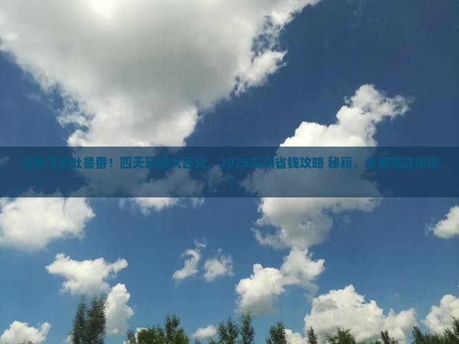 百色到新疆吐鲁番四日游