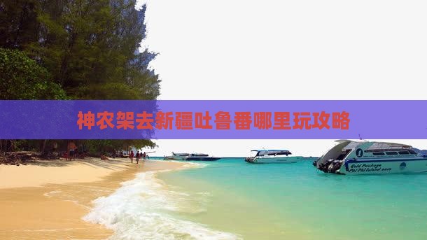 神农架去新疆吐鲁番哪里玩