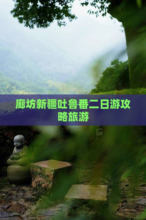 廊坊去新疆吐鲁番二日游