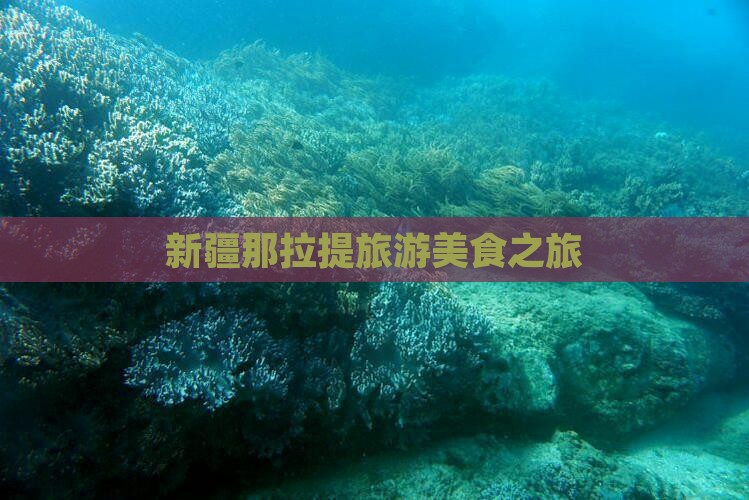 菏泽去新疆那拉提旅游小吃