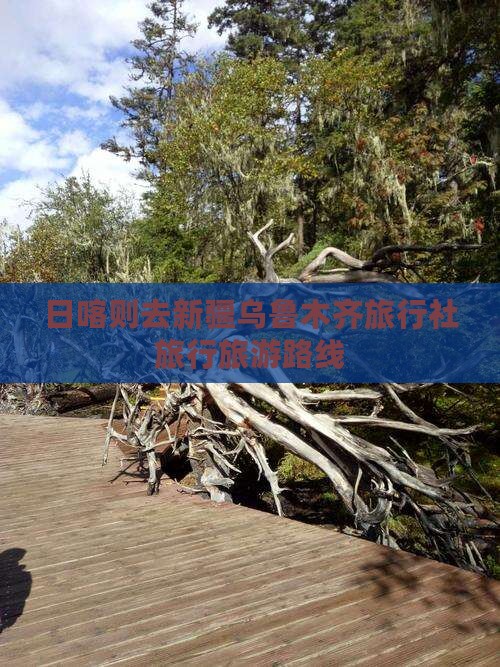 日喀则去新疆乌鲁木齐旅行社