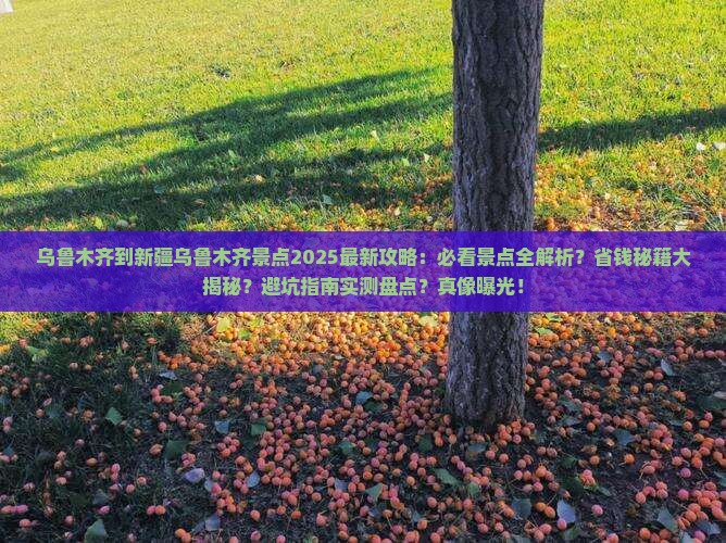 乌鲁木齐到新疆乌鲁木齐景点
