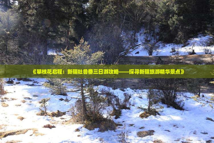 《攀枝花启程：新疆吐鲁番三日游攻略——探寻新疆旅游精华景点》
