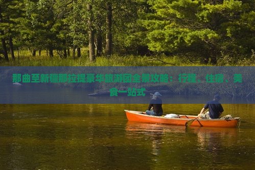 那曲至新疆那拉提豪华旅游团全景攻略：行程、住宿、美食一站式