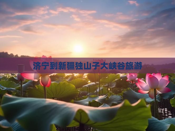 济宁到新疆独山子大峡谷旅游