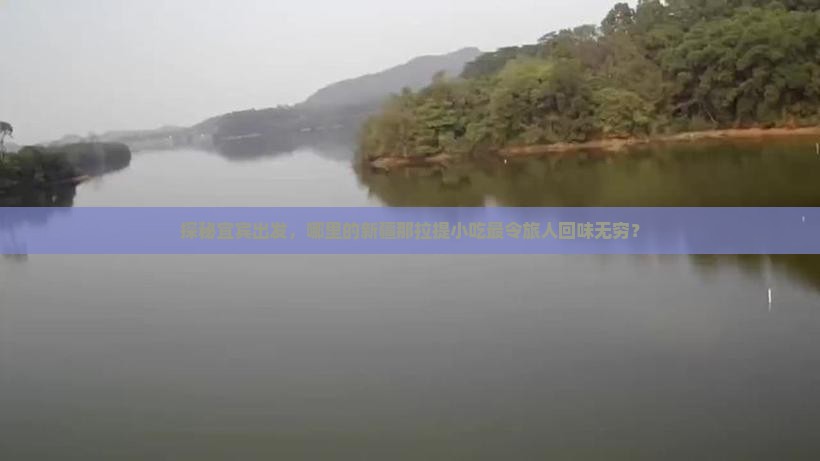 宜宾到新疆那拉提旅游小吃