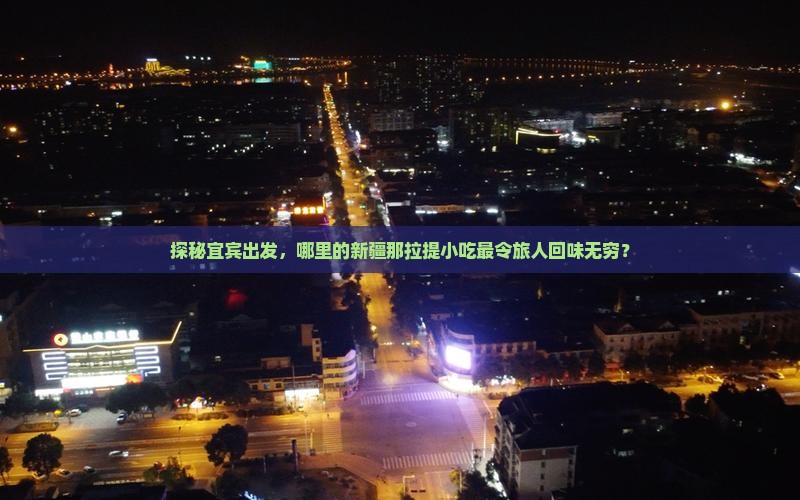 宜宾到新疆那拉提旅游小吃