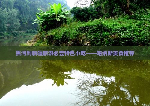 黑河到新疆喀纳斯旅游小吃