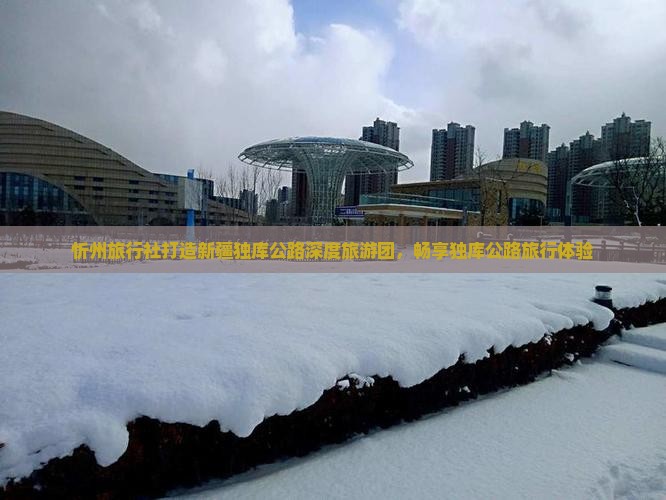 忻州去新疆独库公路自由团