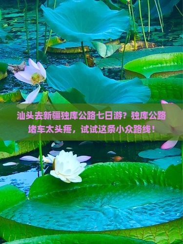 汕头去新疆独库公路七日游